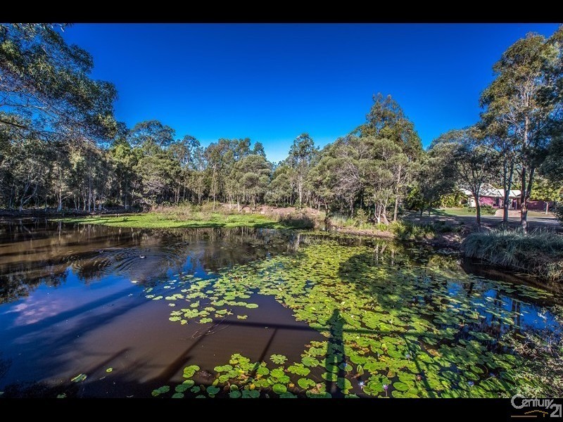 15 Morwell Crescent, North Lakes QLD 4509