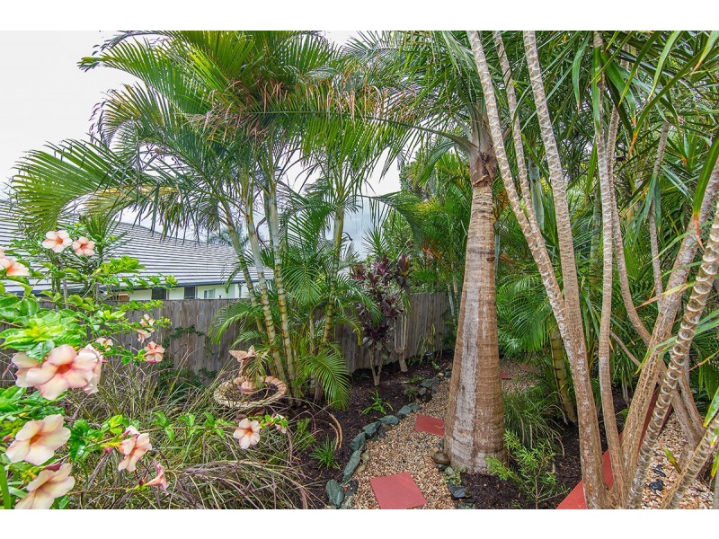 95 Kurrajong Drive, Warner QLD 4500