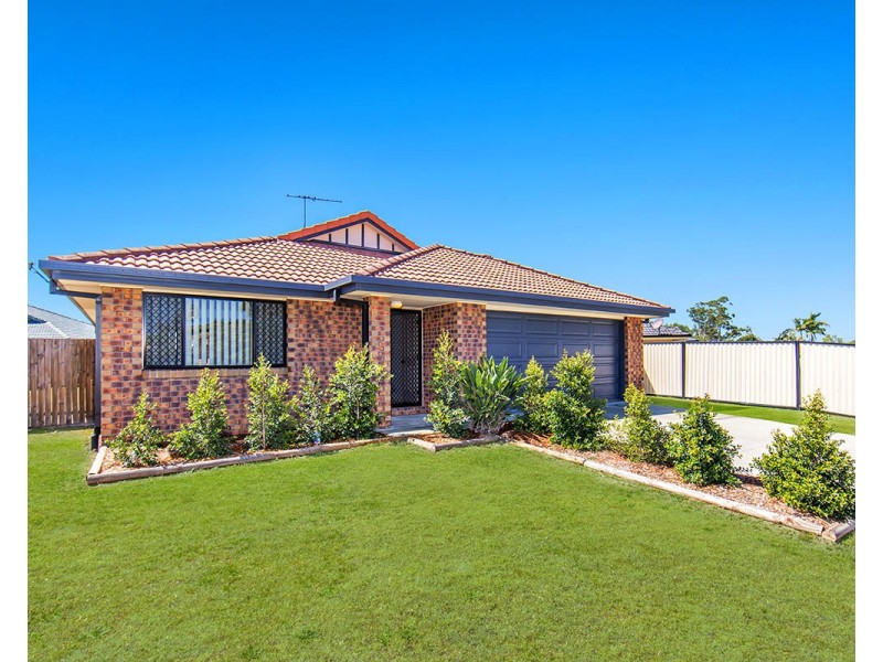17 Cambridge Street, Rothwell QLD 4022