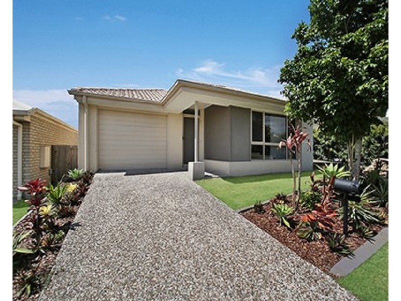 3 Daintree Circuit, North Lakes QLD 4509