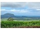 Maroochy River QLD 4561