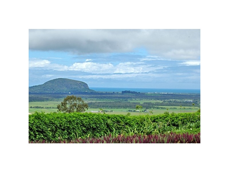 Maroochy River QLD 4561
