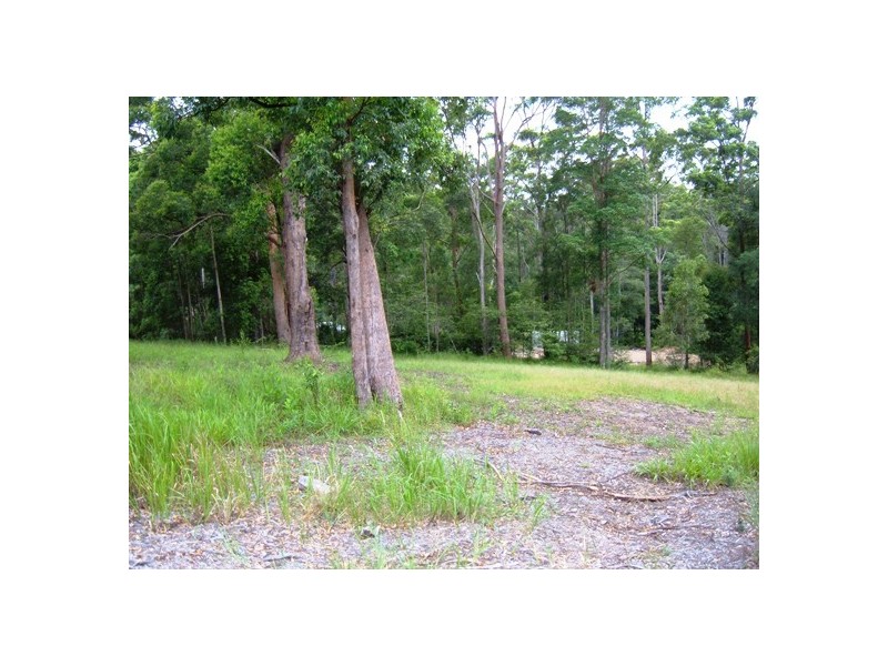 Eumundi QLD 4562