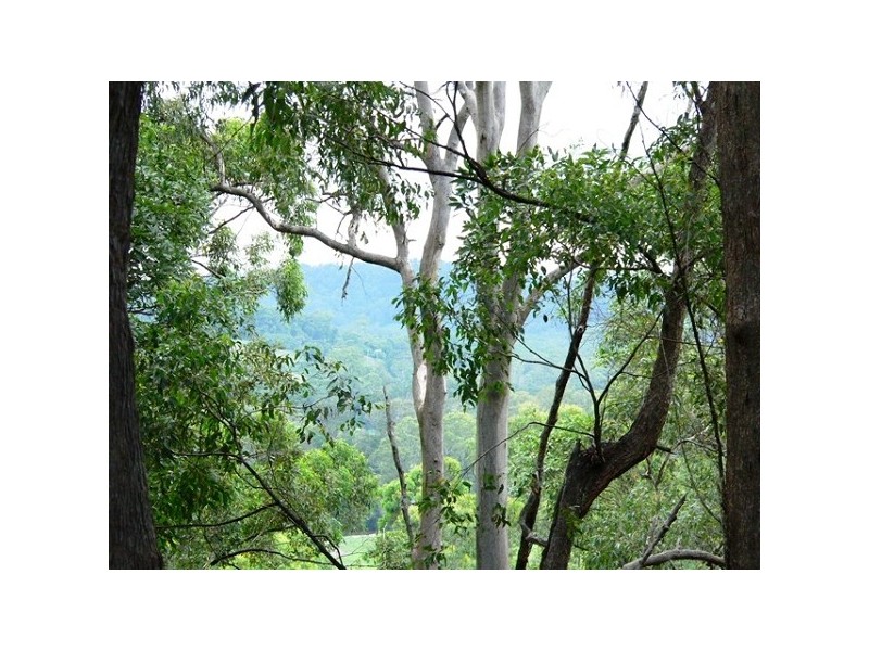 Ninderry QLD 4561