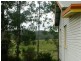 Eumundi QLD 4562