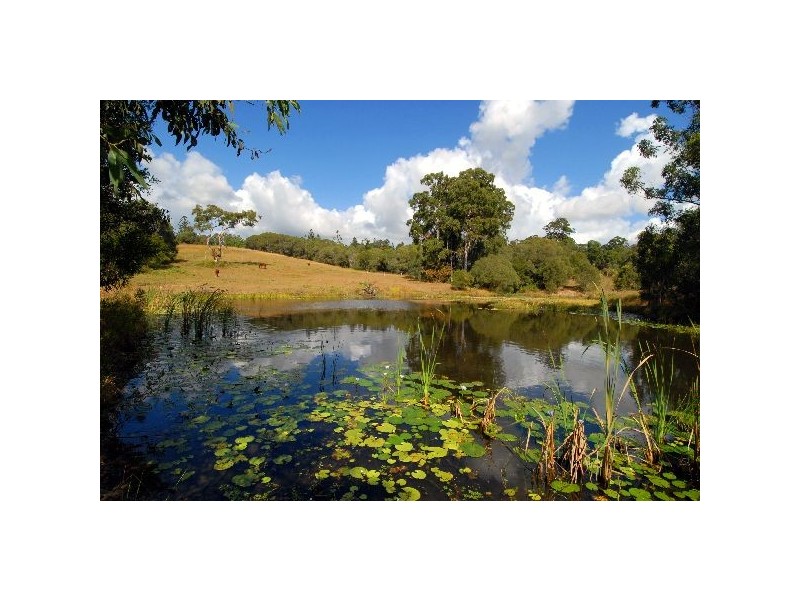 2 Old Mill Road, Carters Ridge QLD 4563