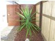Lot 43 Burrell Avenue, Eumundi QLD 4562
