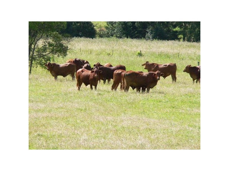 992 Browns Ck Rd, Eerwah Vale QLD 4562