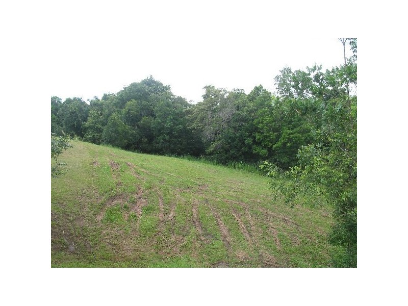 10 Blueberry Lane, Eumundi QLD 4562