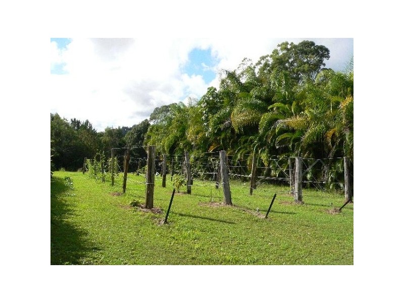 127 Napier Road, Eumundi QLD 4562