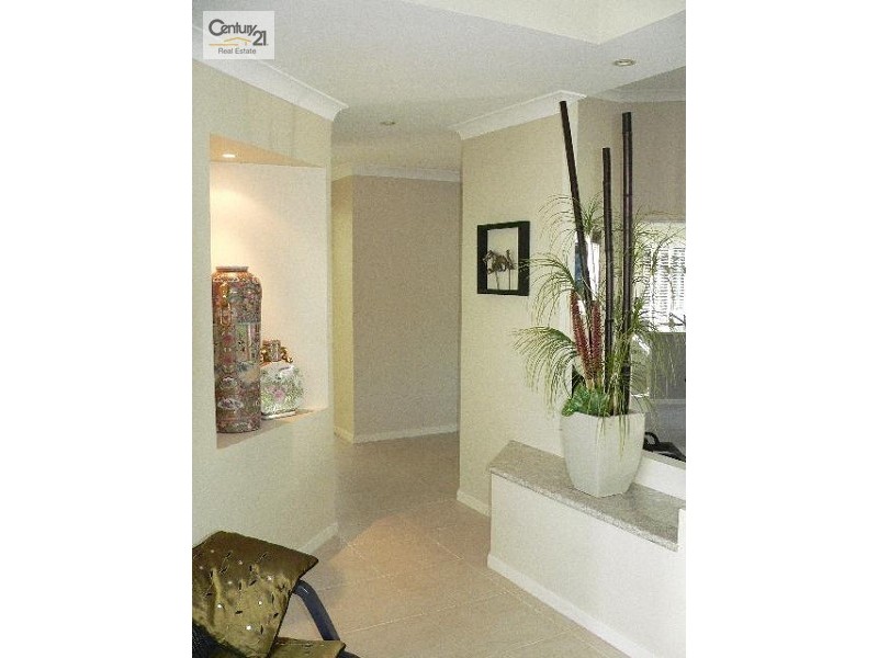 31 Jocelyn Drive, Eumundi QLD 4562