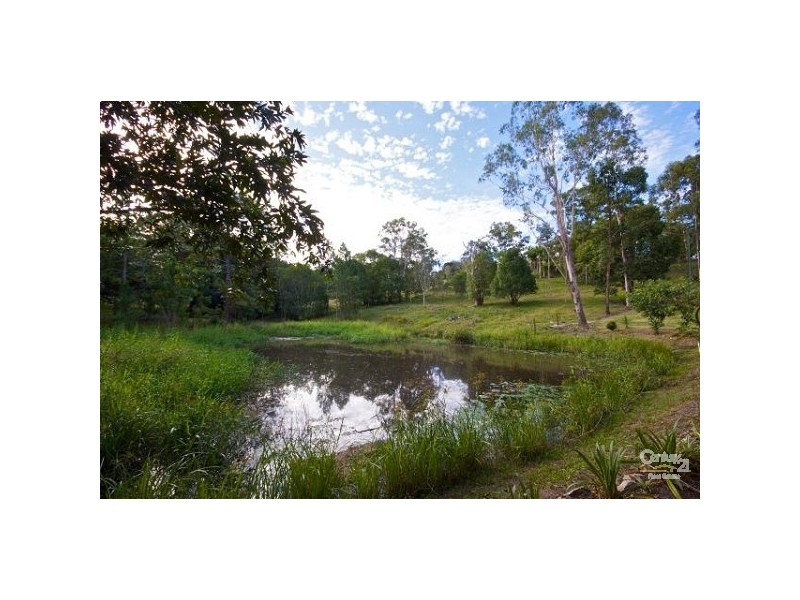 41 Crescent Road, Eumundi QLD 4562