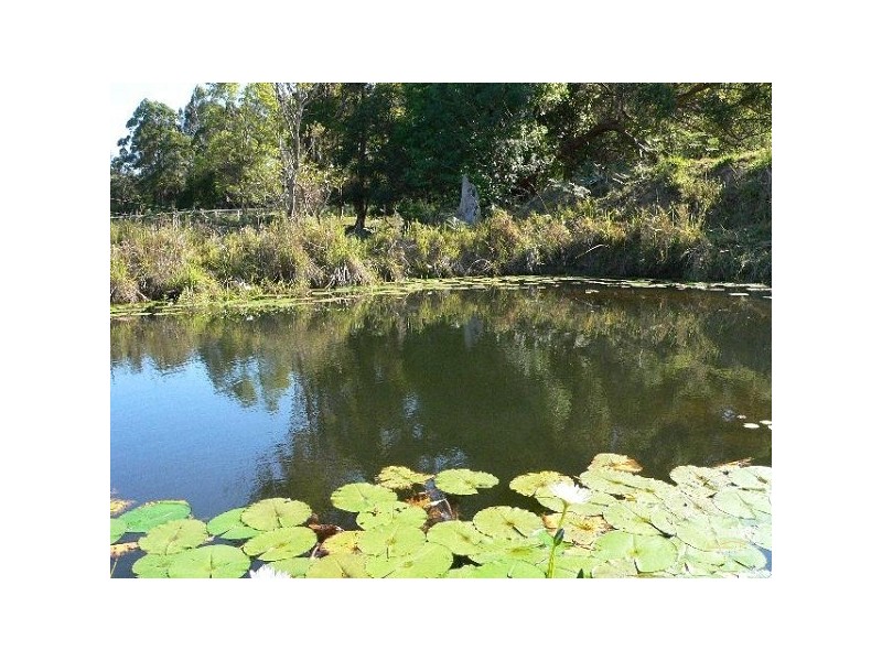 Eumundi QLD 4562