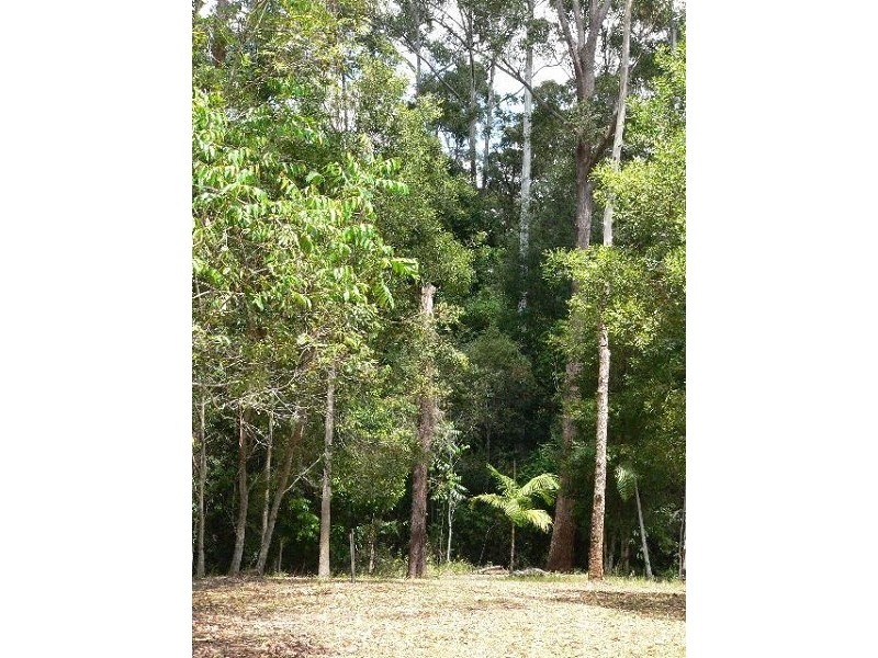 Eumundi QLD 4562