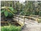 Cooroy QLD 4563