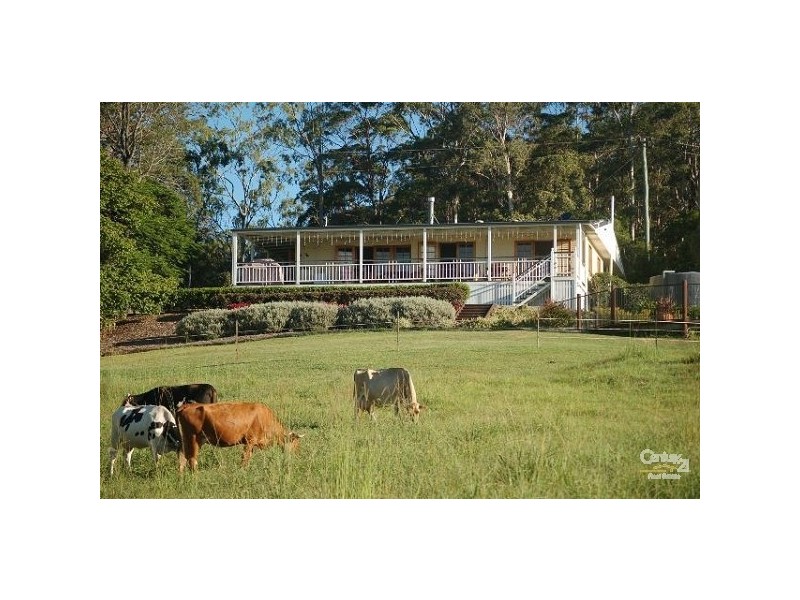 319 Buckby Road, Belli Park QLD 4562