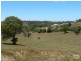 Cooroy QLD 4563