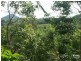 Eumundi QLD 4562