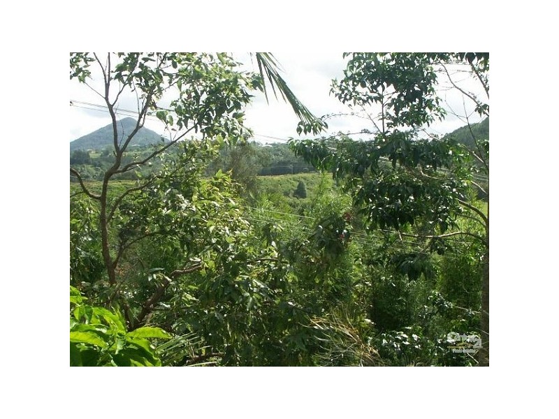 Eumundi QLD 4562