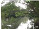 186 Collins Rd, Ninderry QLD 4561
