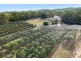 99 – 101 Wilsons Rd, Ilkley QLD 4554