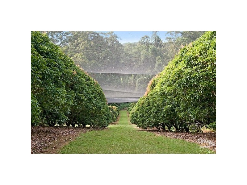 99 – 101 Wilsons Rd, Ilkley QLD 4554