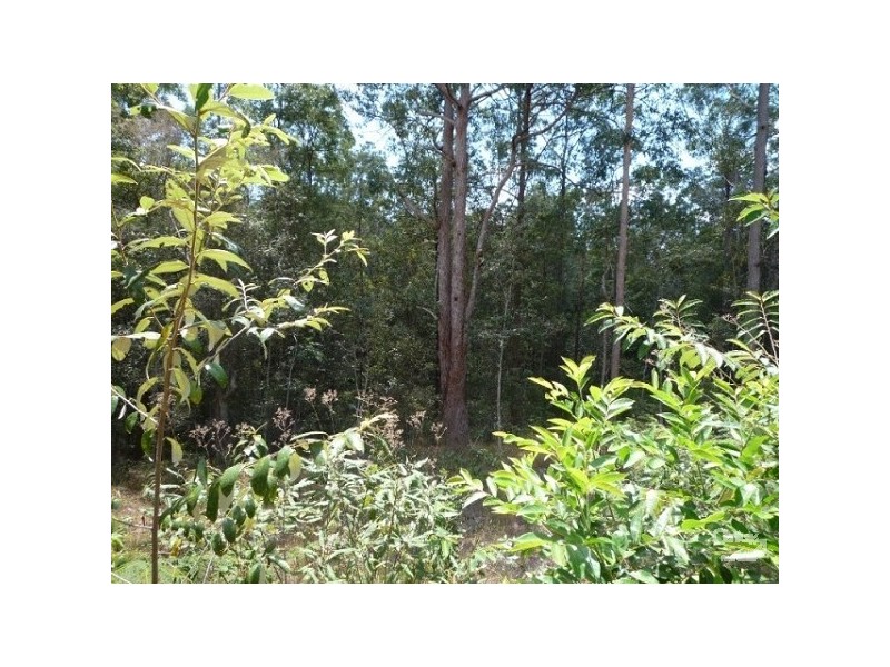 544 Ilkley, Ilkley QLD 4554