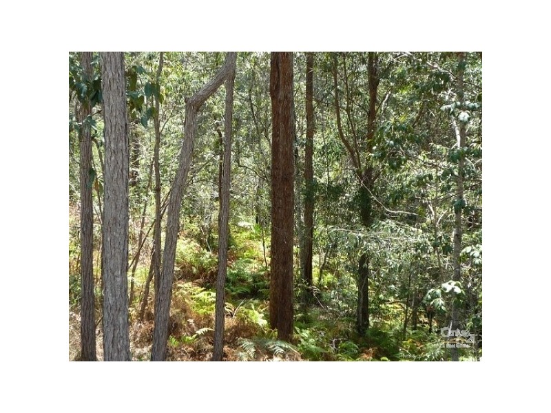 544 Ilkley, Ilkley QLD 4554