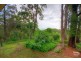 38 Eugenia Road, Forest Glen QLD 4556