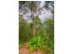 38 Eugenia Road, Forest Glen QLD 4556