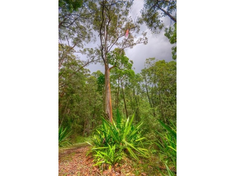 38 Eugenia Road, Forest Glen QLD 4556