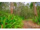 38 Eugenia Road, Forest Glen QLD 4556