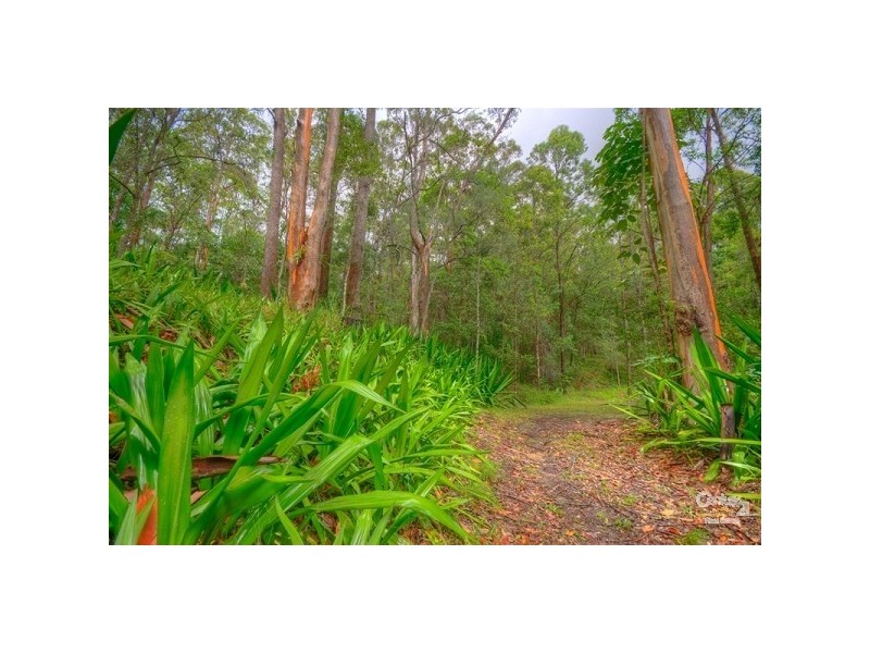 38 Eugenia Road, Forest Glen QLD 4556