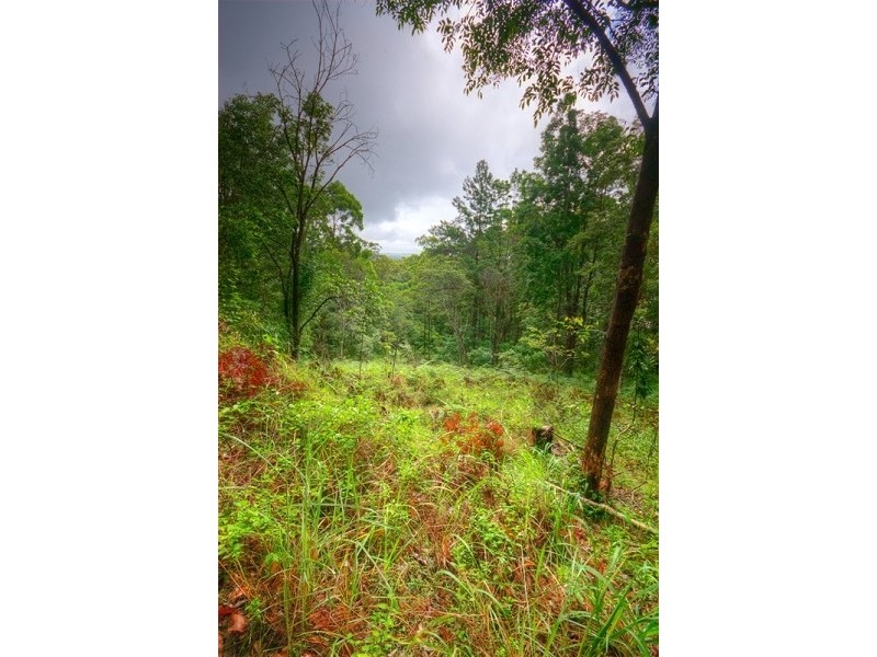 38 Eugenia Road, Forest Glen QLD 4556
