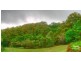 38 Eugenia Road, Forest Glen QLD 4556