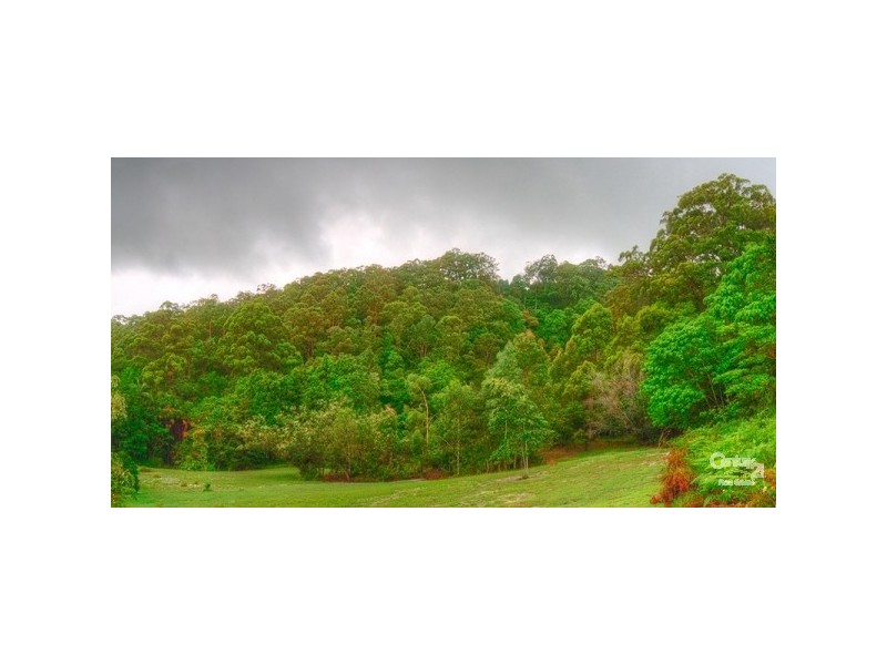 38 Eugenia Road, Forest Glen QLD 4556