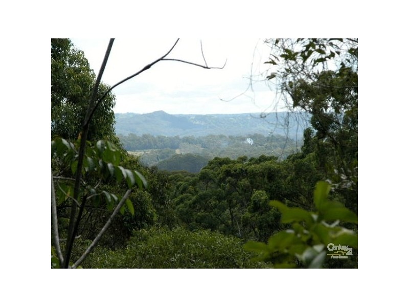 38 Eugenia Road, Forest Glen QLD 4556