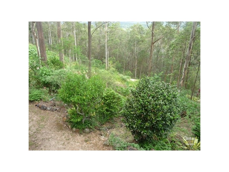 5 Danmark Court, Buderim QLD 4556