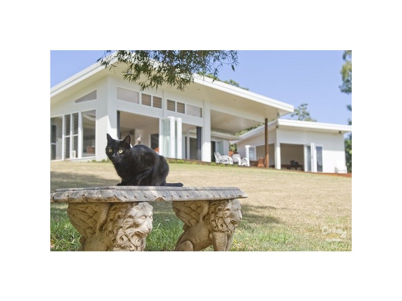 343 Western Avenue, Montville QLD 4560