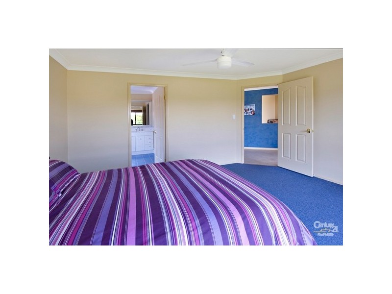 19 Sailfish Drive, Mountain Creek QLD 4557