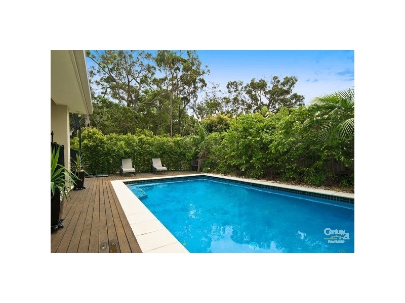12 Sauger Court, Mountain Creek QLD 4557
