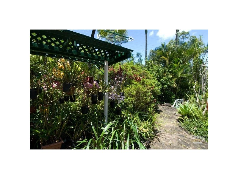 111 Mons School Road, Buderim QLD 4556