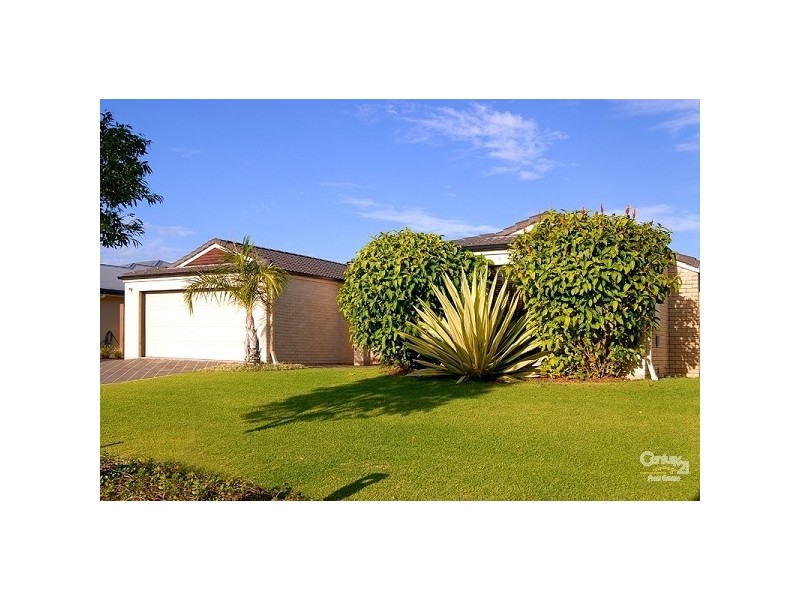 5 Quillback Court, Mountain Creek QLD 4557