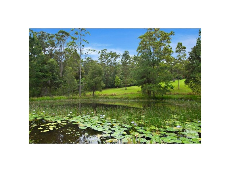 14 McGregor Court, Mooloolah Valley QLD 4553