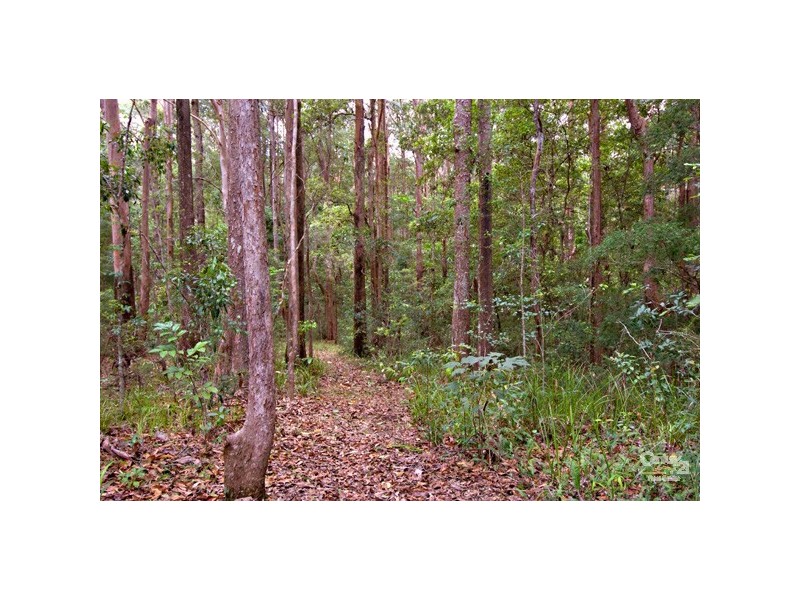 82A Mons School Road, Buderim QLD 4556