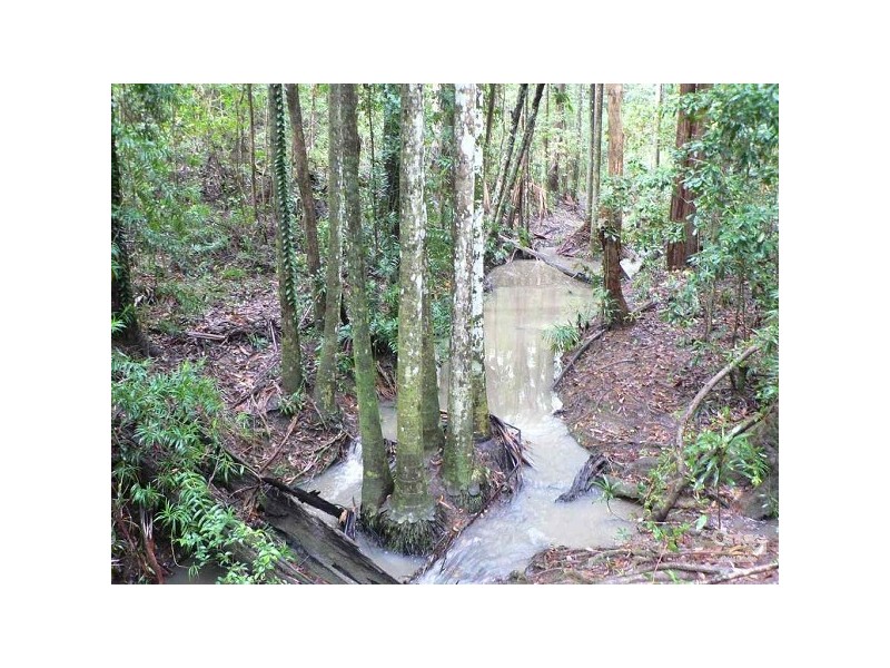 82A Mons School Road, Buderim QLD 4556