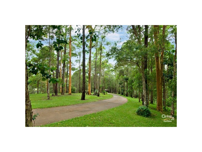 550 Wilson Road, Buderim QLD 4556