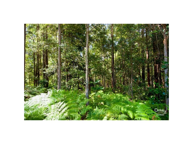 3 Secret Valley Court, Buderim QLD 4556