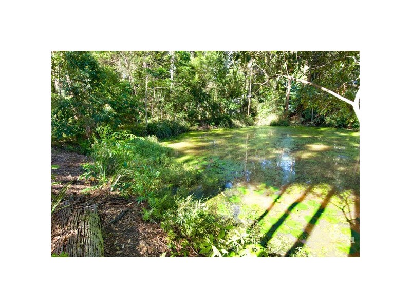 3 Secret Valley Court, Buderim QLD 4556