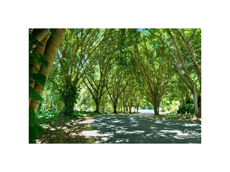 20 Turnipwood Drive, Buderim QLD 4556